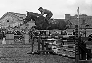 Ivanovich: Moscow Cup Equestrian Championships