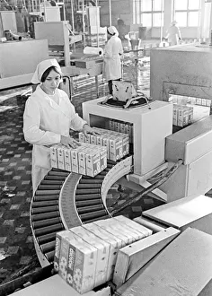 Bottling: Moscow dairy plant, 1977