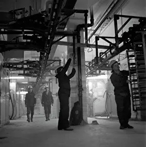 Conveying: Moscow Fish Processing Complex