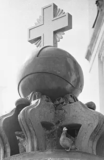 Koshevoi: Moscow Kremlin, 1981