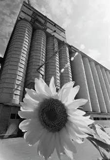 Elevator: Moscow Mill Plant ? 4