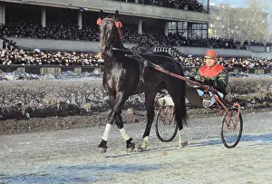 Andreyev: Moscow racecourse, 1972