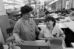 Expert: Moscow Rainbow sewing enterprise