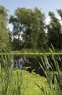 Vidnoye: Moscow Region in pictures