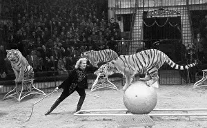 Margarita: Moscow State Circus