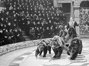 Merited: Moscow State Circus