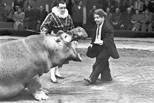 Tamer: Moscow State Circus