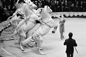 Dates: Moscow State Circus