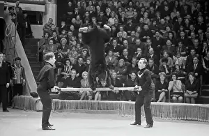 Luigi: Moscow State Circus