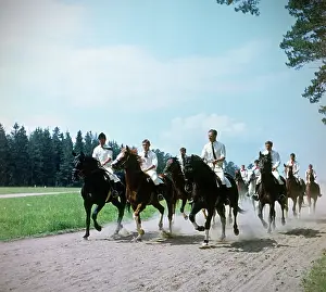 Budan: Moscow stud farm, 1969