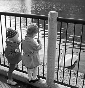 Nosov: Moscow Zoo, 1970