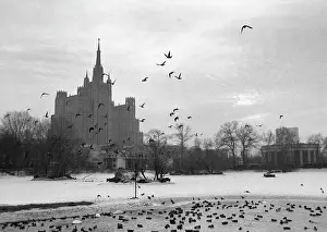 Stay: Moscow Zoo, 1987