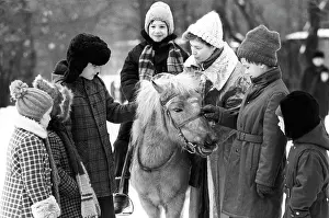 Ponies: Moscow Zoo, 1988