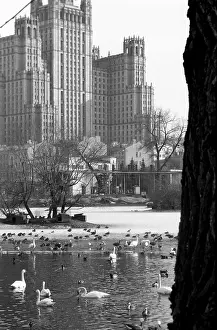 Vosstaniya: Moscow Zoo, 1989