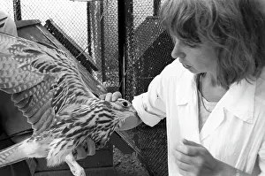 Tatiana: Moscow Zoo, 1991
