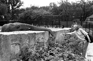 Kuzmina: Moscow Zoo, 1992