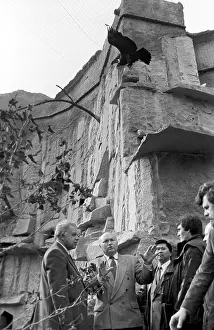 Tatyana: Moscow Zoo, 1993