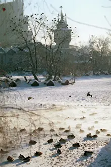Stay: Moscow Zoo, 1997