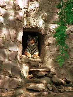 Enclosure: Moscow Zoo, 1997