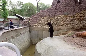 Lyudmila: Moscow Zoo, 1997