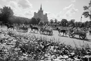 Pony: Moscow Zoo