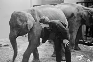 Delivered: Moscow zoo