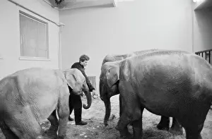 Delivered: Moscow zoo