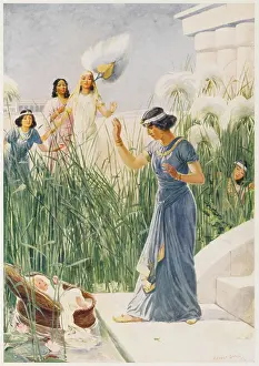 Bullrushes: MOSES FOUND