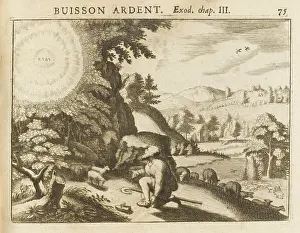 Consumed: MOSES AND BURNING BUSH