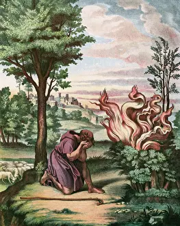 Consumed: MOSES & BURNING BUSH