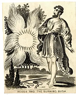 Miraculous: Moses and the Burning Bush