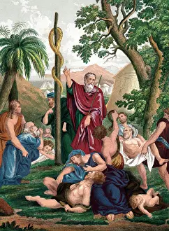 Behalf: Moses, having interceded with God on behalf of