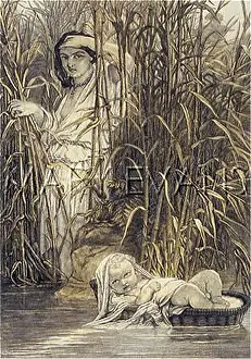 Adrift: MOSES RESCUED (ROCHE)