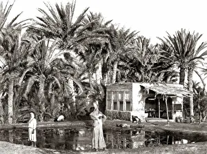 Sinai: Well of Moses in the Sinai, circa 1880s