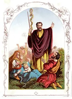 Snakes: Moses and the snakes