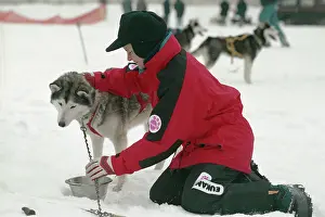 Participant: Moskovia-96 dog sled race