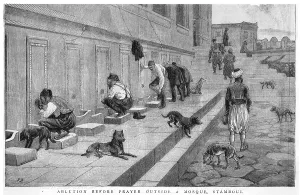 Moslems: MOSLEMS AT MOSQUE