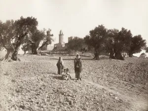 Olives: Mosque of the Ascension, Mount of Olives, Jerusalem