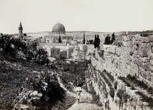 Wider: Mosque of Omar, Jerusalem