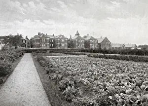Plots: Mossbank Industrial School, Glasgow