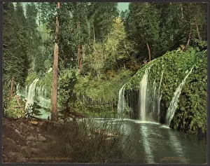 C1899: Mossbrae Falls, California