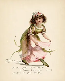 Personified: Mossrose / Language of Flowers