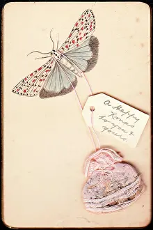 Pourri: Moth on a handmade Christmas card