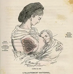Breastfeeding: MOTHER BREASTFEEDING 19C