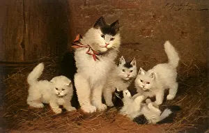 Surveys: Mother Cat and Her Brood