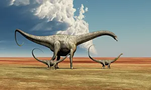 Terrible: Mother Diplodocus dinosaur walks along with her brood of ?
