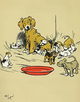 Mongrels: Mother dog with assorted puppies