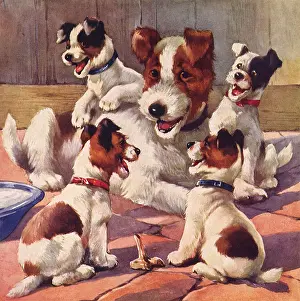 Humerous: Mother Dog and Puppies