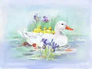 Matthes: Mother duck with four duckling on her back