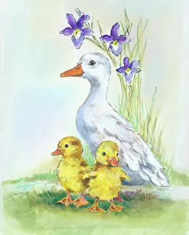 Mother duck with two ducklings and irises